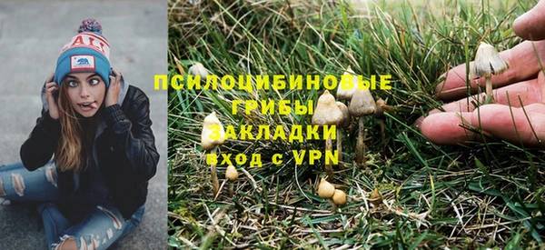 стафф Нягань