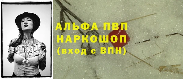 метадон Няндома