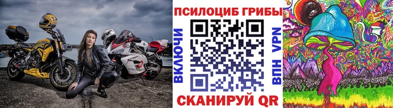 Псилоцибиновые грибы мицелий  Нахабино 